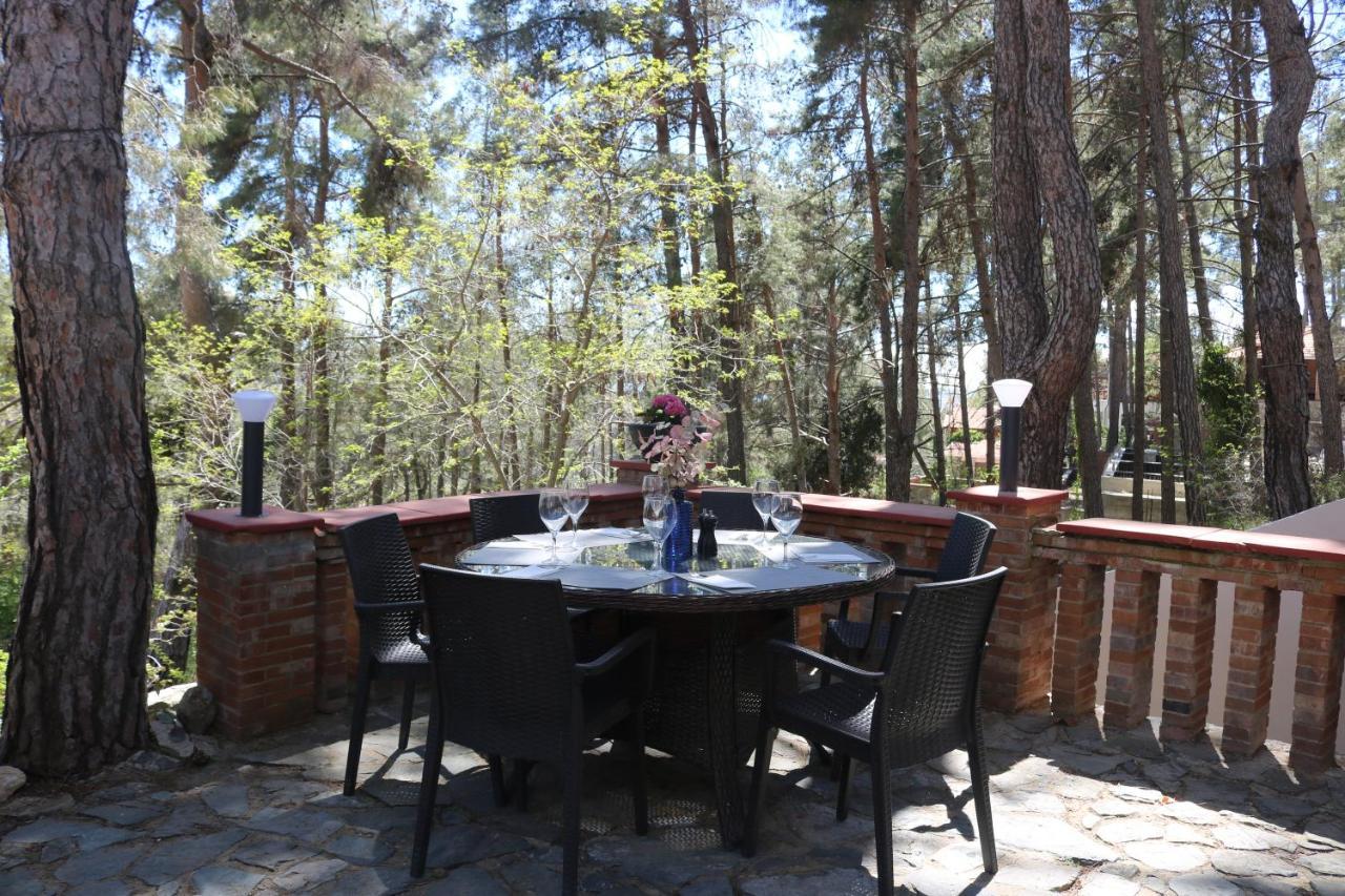 Semiramis Lodge Платрес Екстер'єр фото